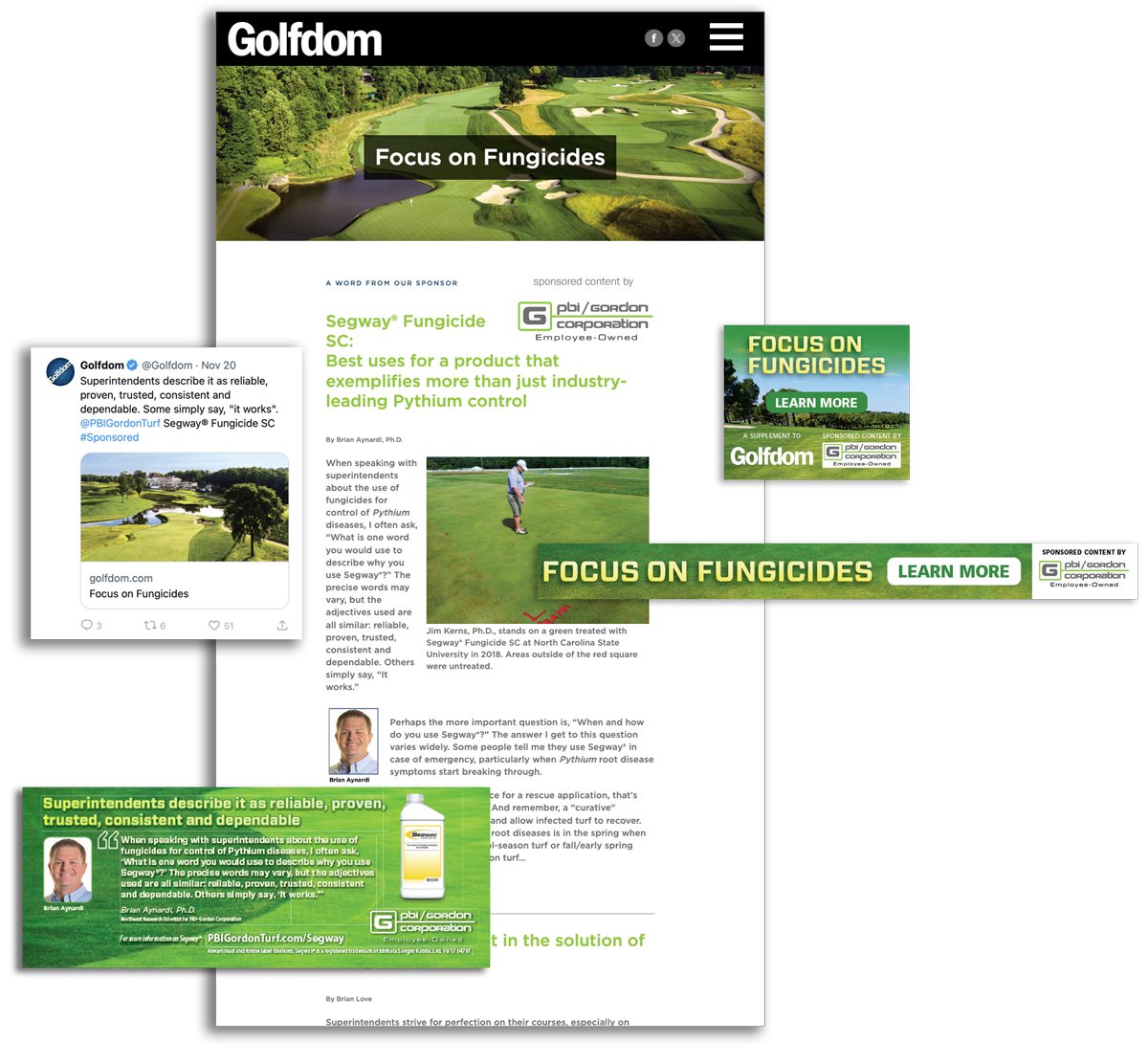 Web Sponsored Content